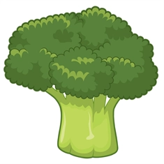 Broccoli Classroom Vegetable Transparent Sticker